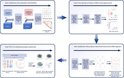 Identification of Key Pyroptosis-Related Genes and Distinct Pyroptosis-Related Clusters in Periodontitis